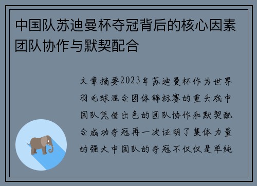 中国队苏迪曼杯夺冠背后的核心因素团队协作与默契配合