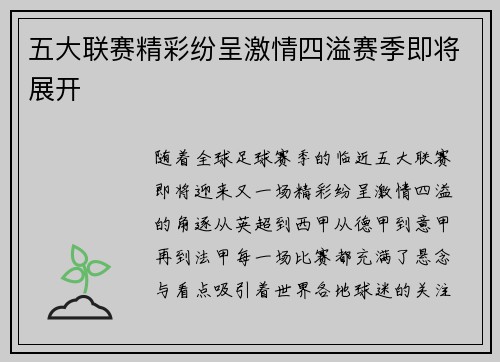 五大联赛精彩纷呈激情四溢赛季即将展开