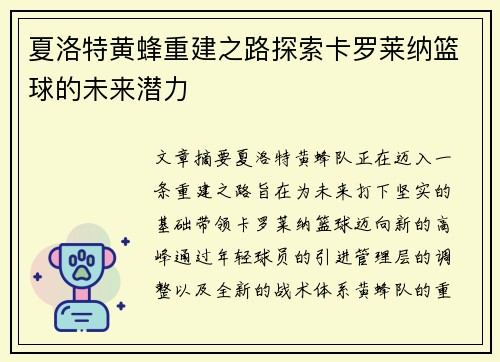 夏洛特黄蜂重建之路探索卡罗莱纳篮球的未来潜力